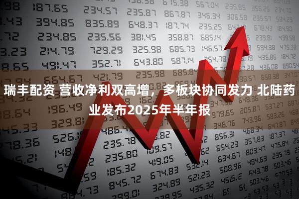 瑞丰配资 营收净利双高增，多板块协同发力 北陆药业发布2025年半年报