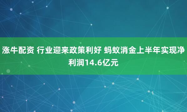涨牛配资 行业迎来政策利好 蚂蚁消金上半年实现净利润14.6亿元