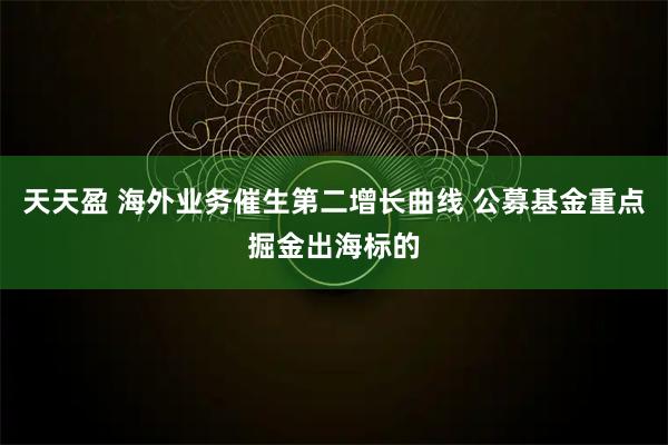 天天盈 海外业务催生第二增长曲线 公募基金重点掘金出海标的