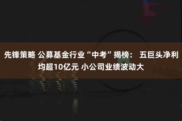 先锋策略 公募基金行业“中考”揭榜： 五巨头净利均超10亿元 小公司业绩波动大