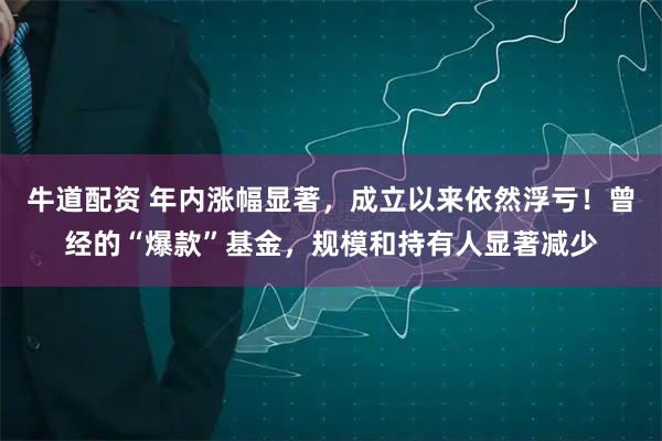 牛道配资 年内涨幅显著，成立以来依然浮亏！曾经的“爆款”基金，规模和持有人显著减少