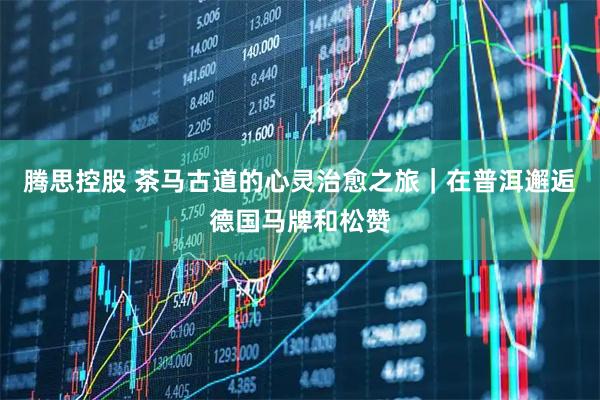 腾思控股 茶马古道的心灵治愈之旅｜在普洱邂逅德国马牌和松赞