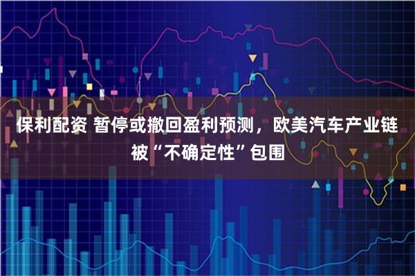 保利配资 暂停或撤回盈利预测，欧美汽车产业链被“不确定性”包围