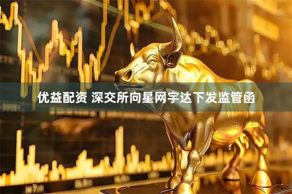 优益配资 深交所向星网宇达下发监管函